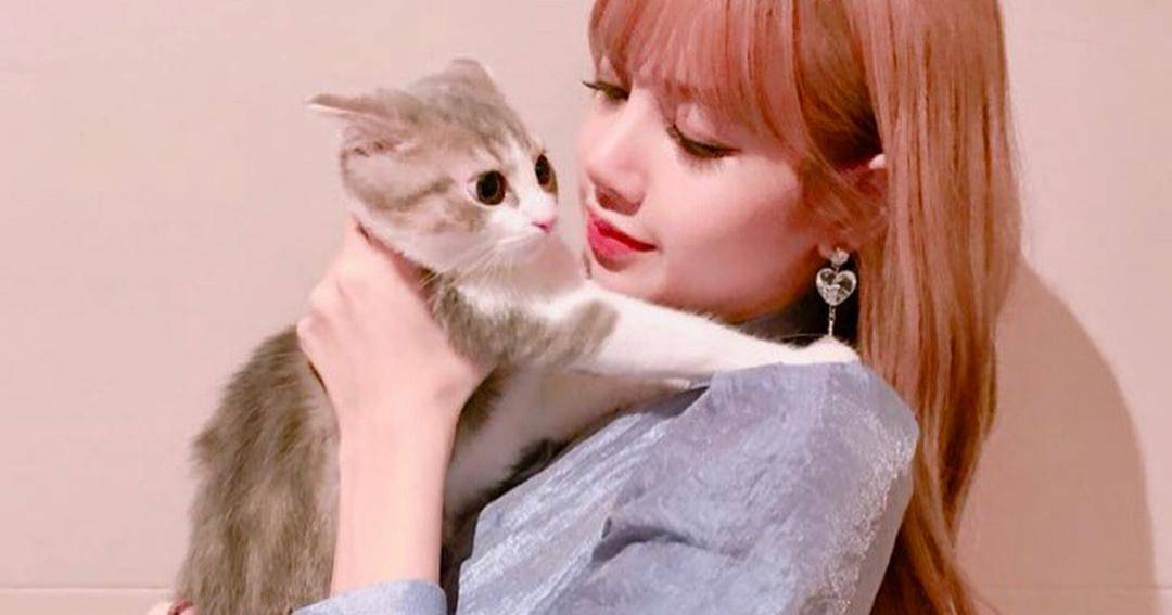 Instagram.com/lalalalisa_m